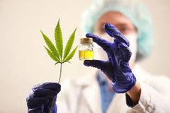 45 tratamientos que se pueden hacer con Cannabis Medicinal - Family Cbd Mexico