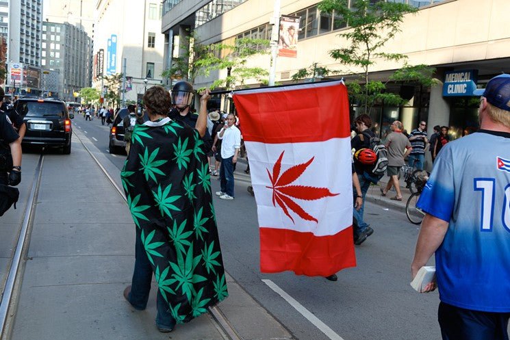 Canada baja 50% el uso de cannabis en adolescentes después de su legalización - Family Cbd Mexico