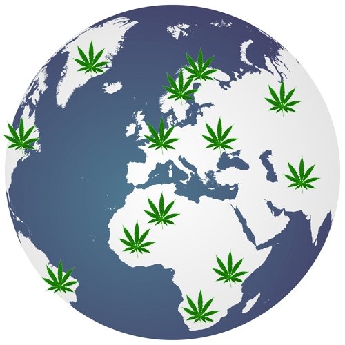 Cómo la legalización del cannabis cambia el mercado de drogas ilegales - Family Cbd Mexico
