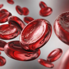 ¿Puede el CBD combatir la anemia? - Family Cbd Mexico
