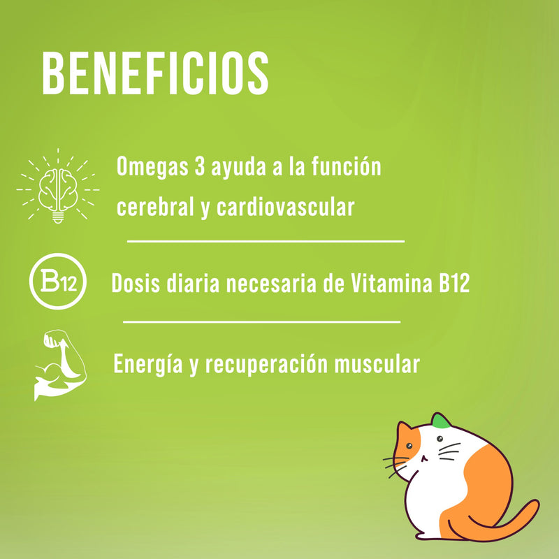 Bigan Suplemento de Vitamina B12, Alga Espirulina, Omega 3, Chia, Vitaminas y Minerales Salud Cardiovascular y Dietas Veganas - Family Cbd Mexico